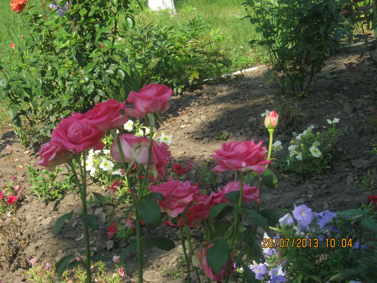 Катеринопіль-подорож  у минуле - Катеринопіль