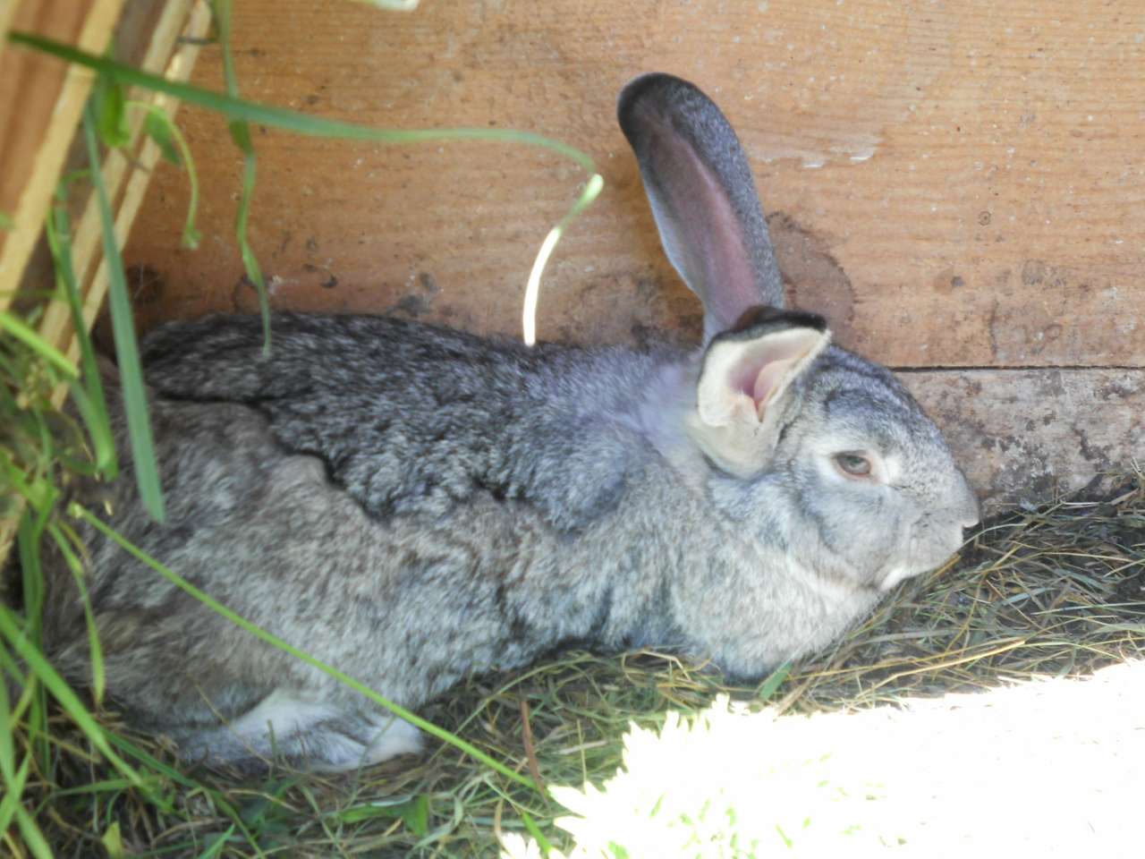 село - Воля-Жовтанецька