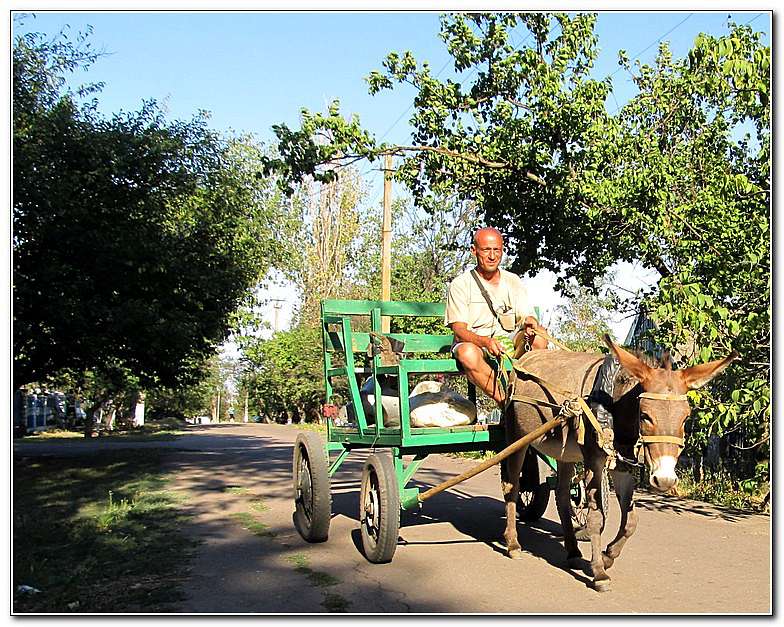 ЦИРК ПРИЇХАВ! - Золота Балка