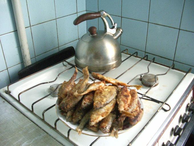 Моя Родина - Новоахтырка