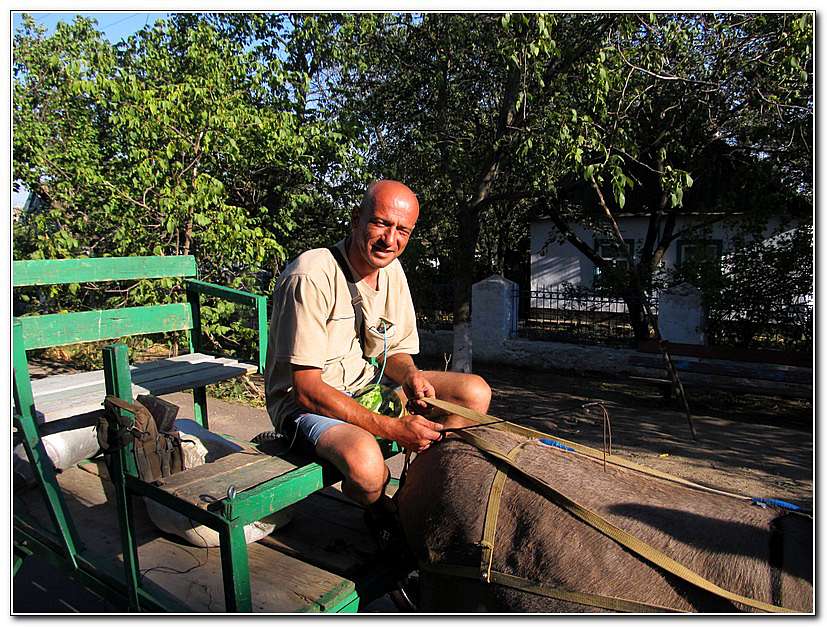 ЦИРК ПРИЇХАВ! - Золота Балка