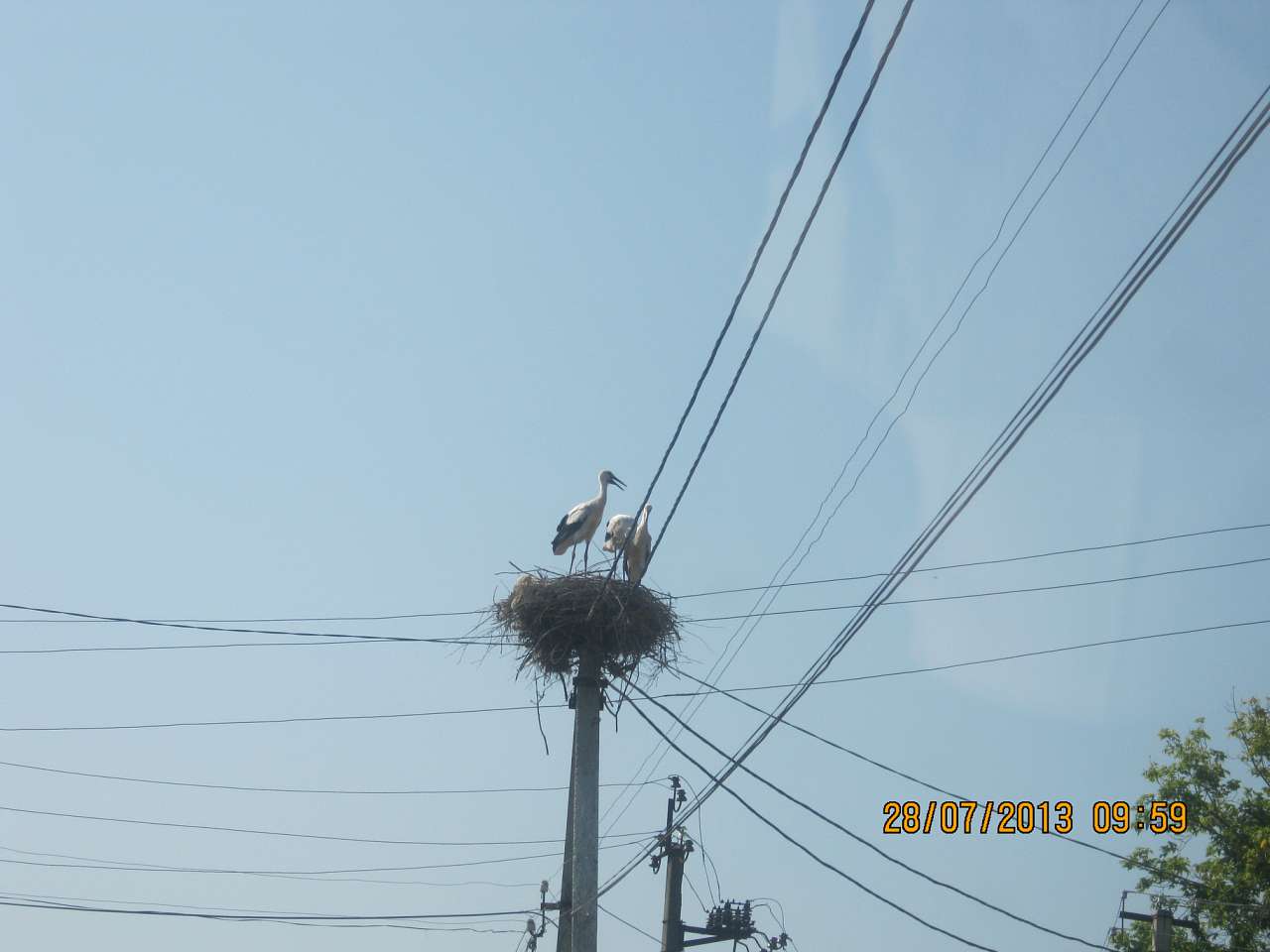 Катеринопіль-подорож  у минуле - Катеринопіль