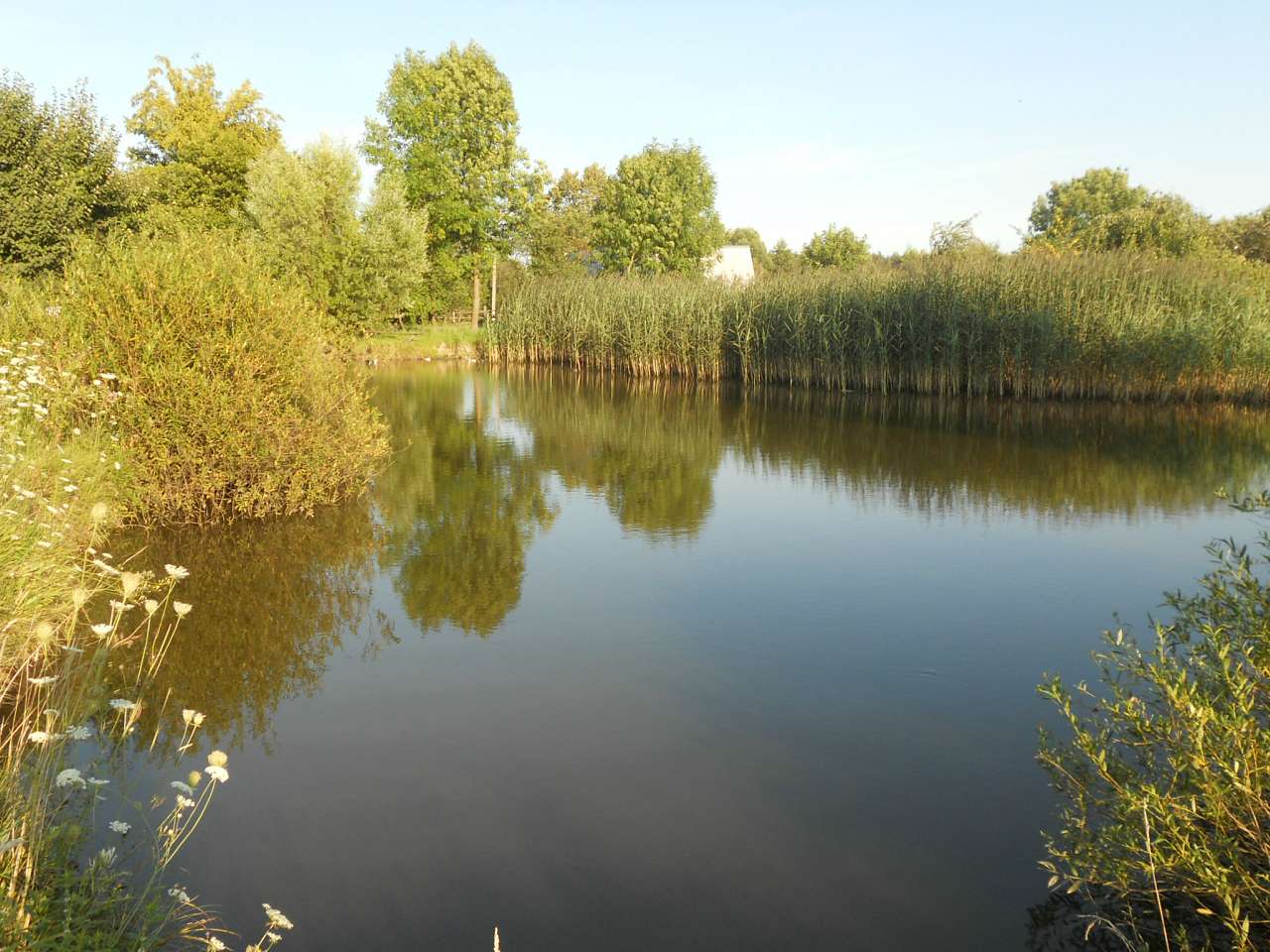 село - Воля-Жовтанецкая