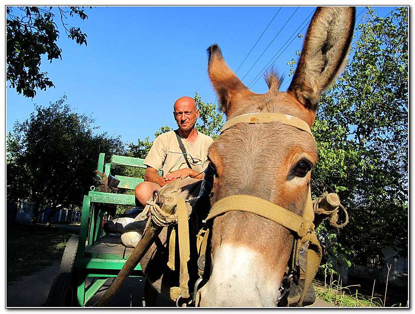 ЦИРК ПРИЇХАВ! - Золота Балка
