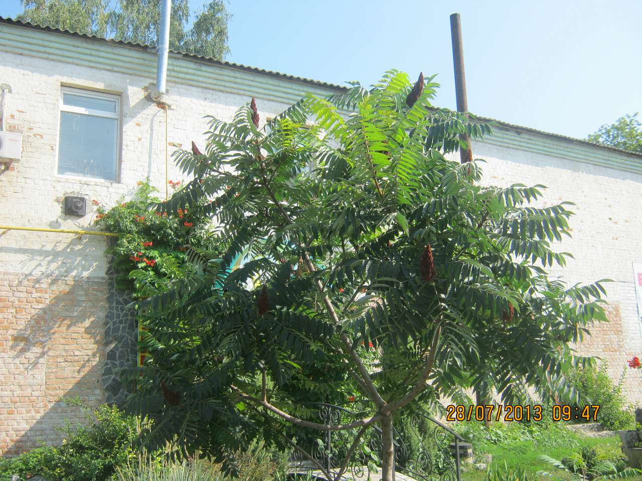 Катеринопіль-подорож  у минуле - Катеринопіль