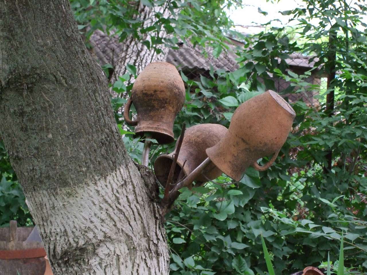 Хата-музей - Березовка