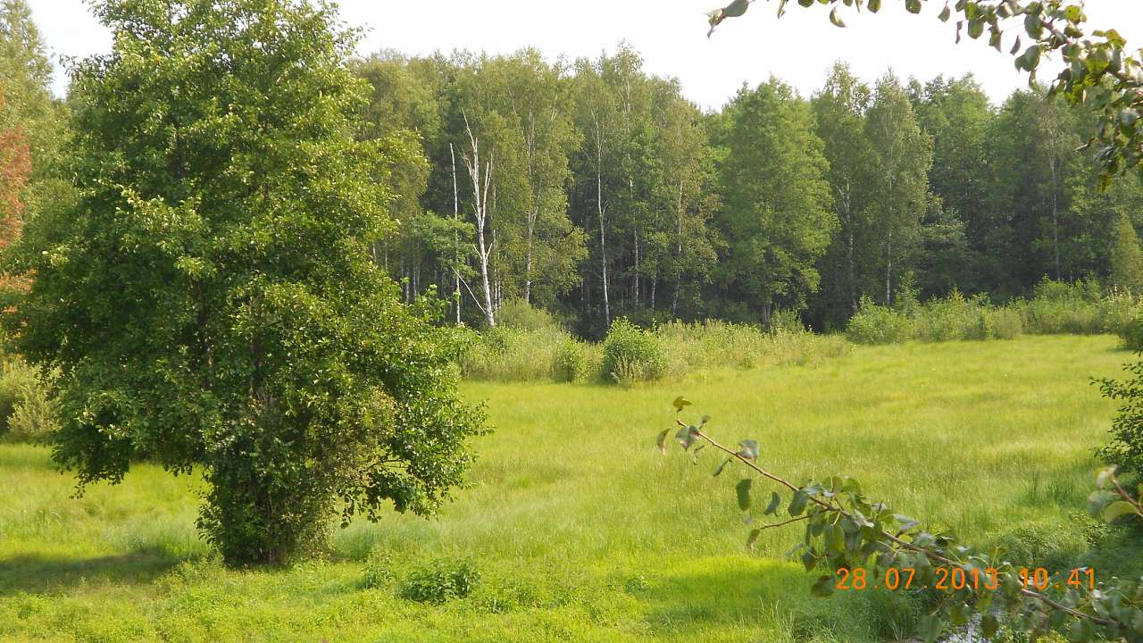 ТУРНЕ - Переброди