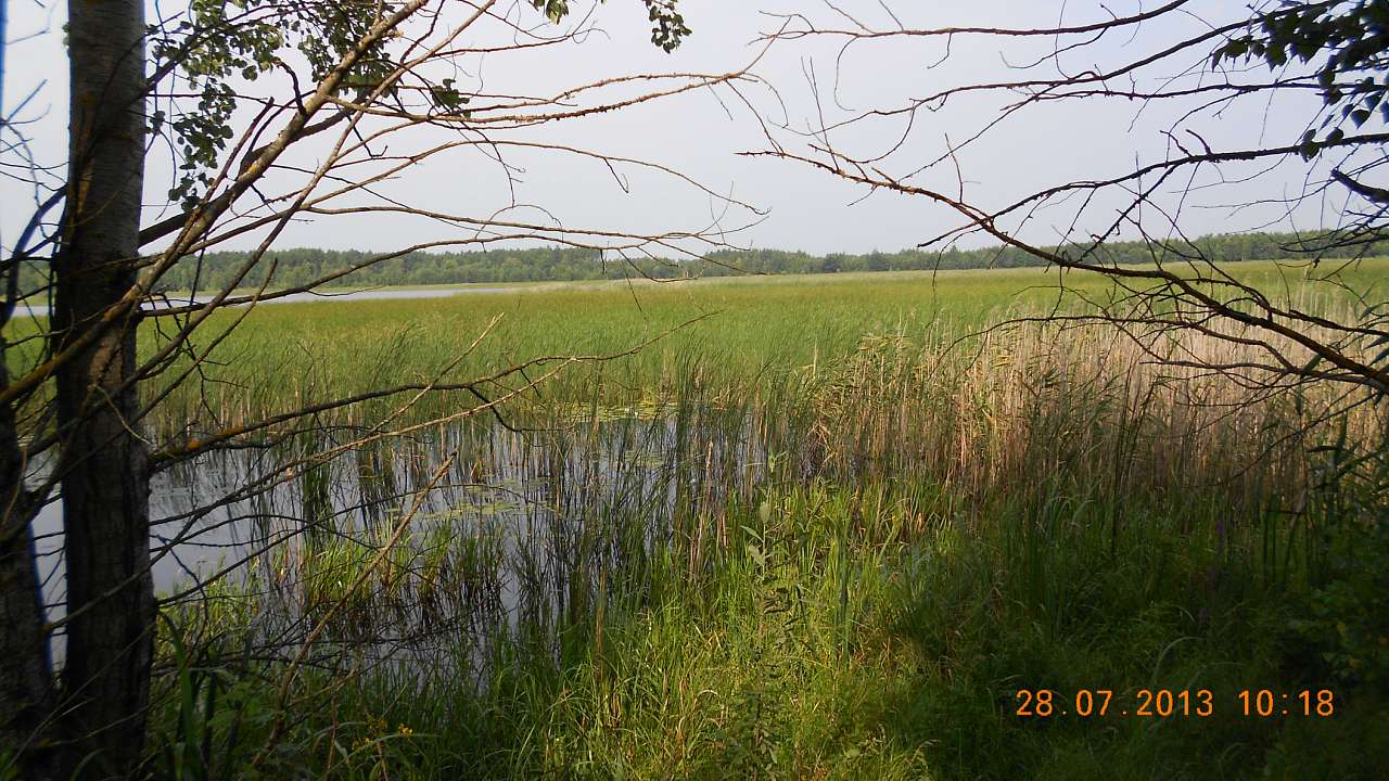 ТУРНЕ - Perebrody