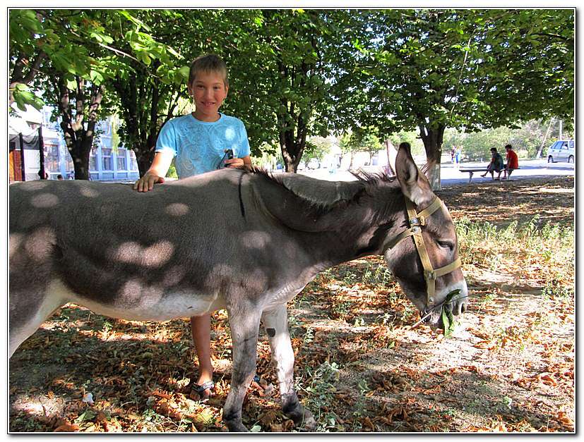 ЦИРК ПРИЇХАВ! - Золота Балка