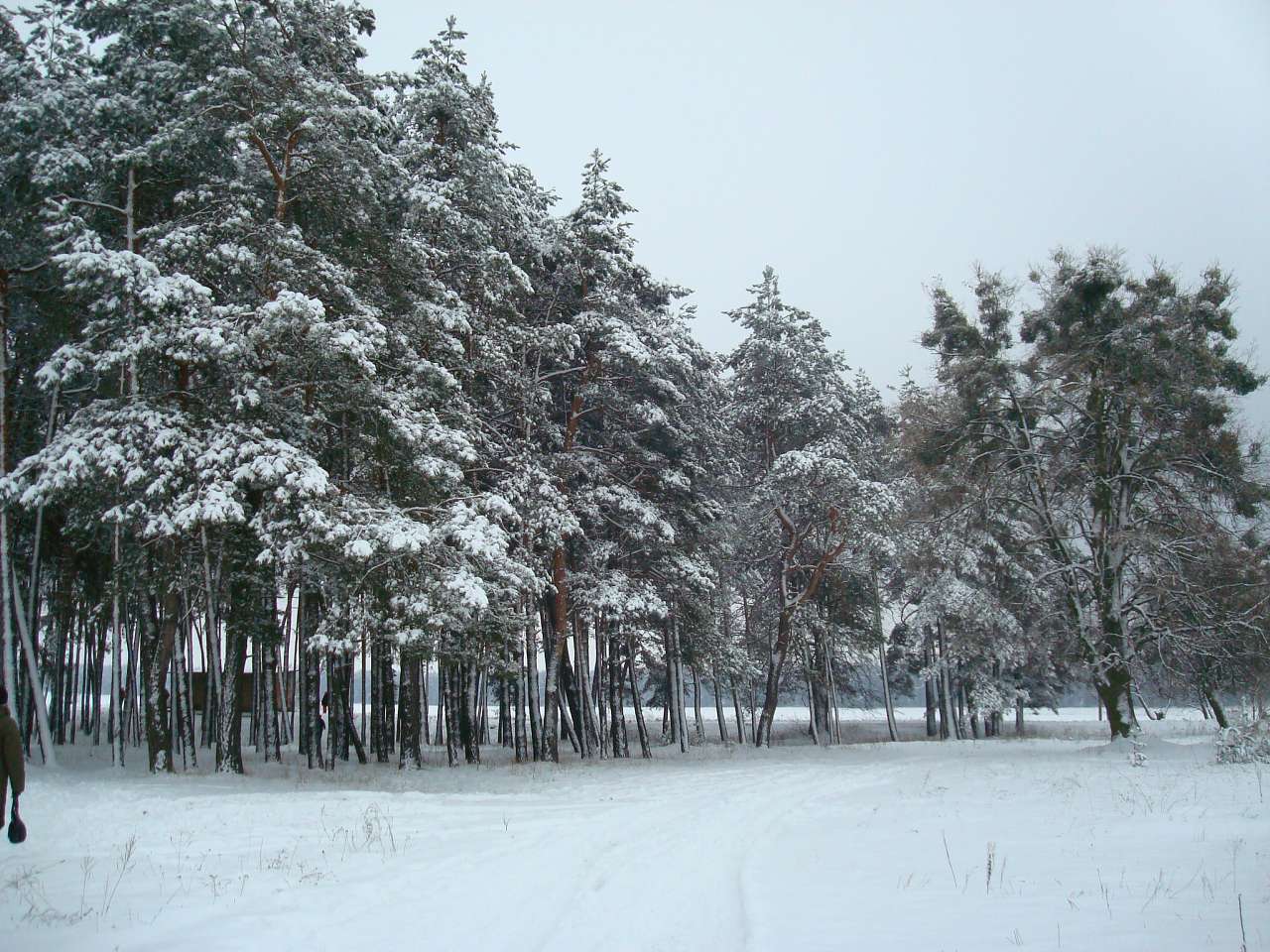 Куточки села - Шнирів