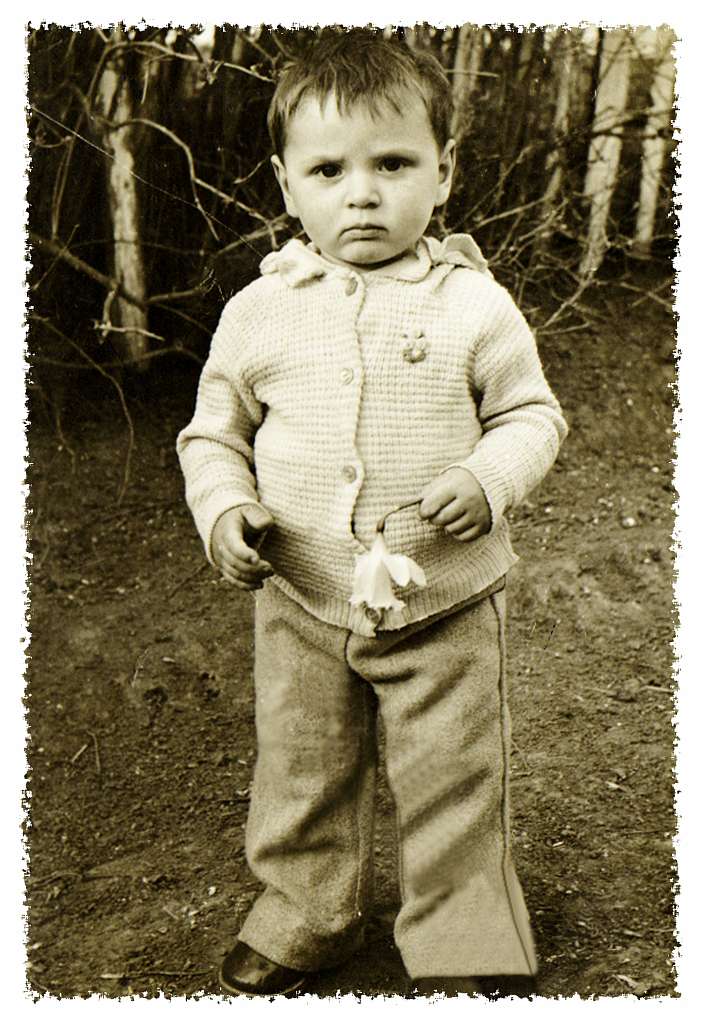 Яструбинцi - Яструбинці