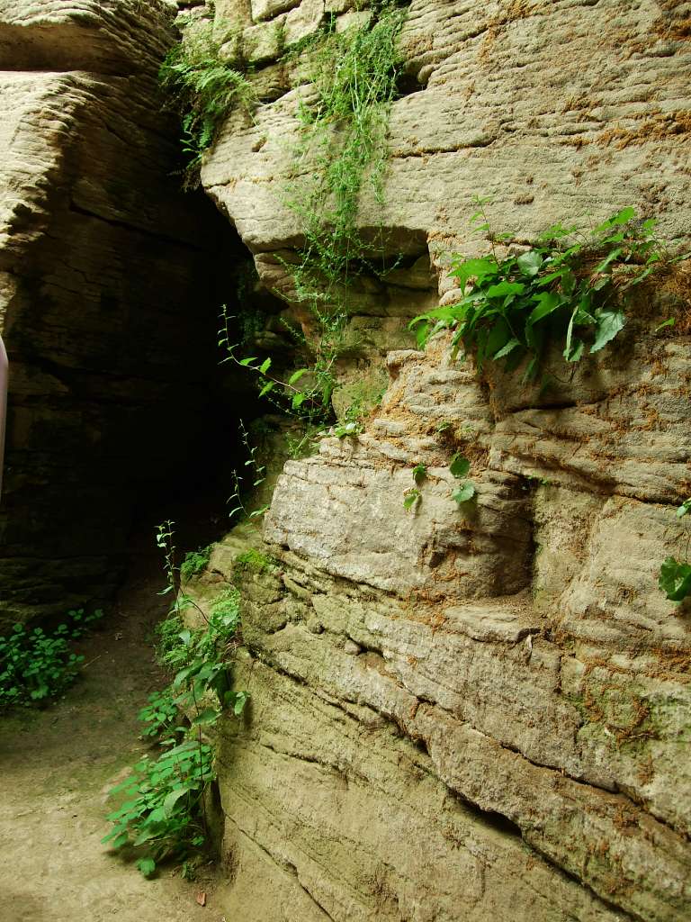 Таємнича Буша - Буша