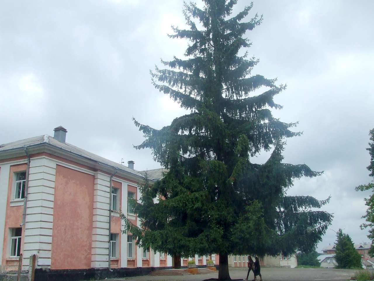 Навчальні заклади - Миколаїв