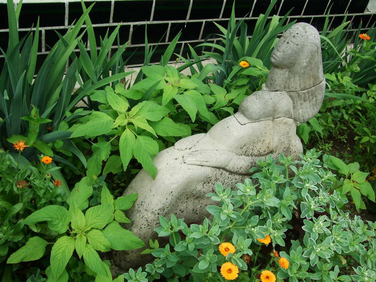 Таємнича Буша - Буша