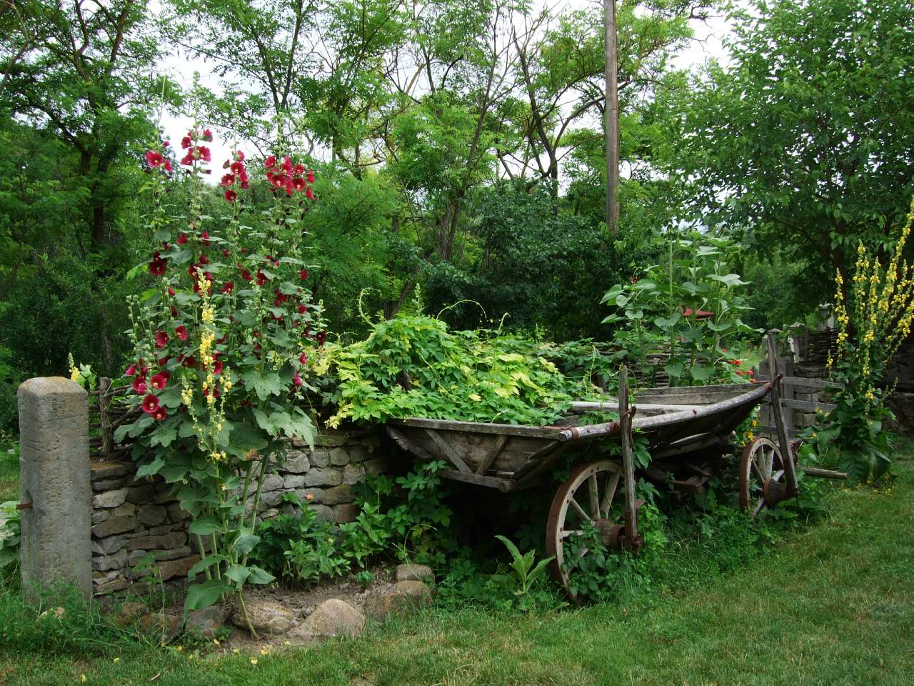 Таємнича Буша - Буша