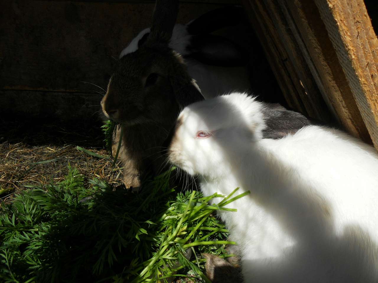 село - Воля-Жовтанецька