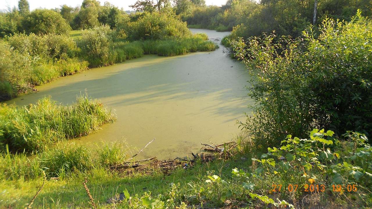 ТУРНЕ - Perebrody