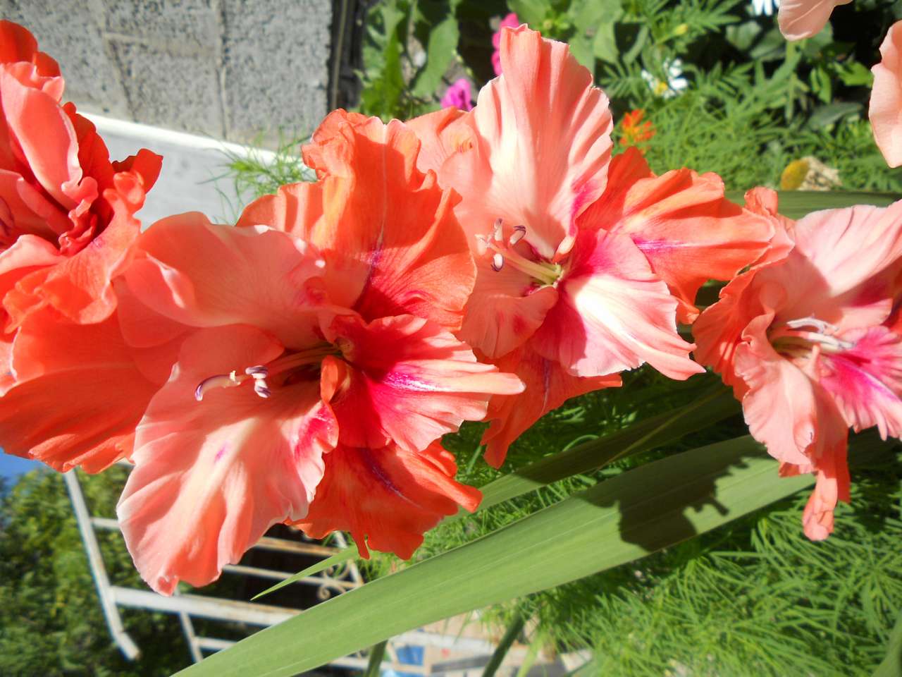 село - Воля-Жовтанецька