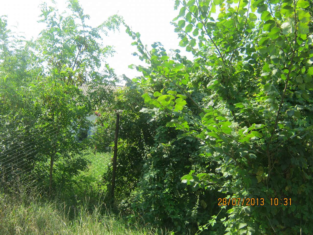 Катеринопіль-подорож  у минуле - Катеринопіль