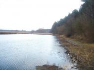 Березна з panoramio.com