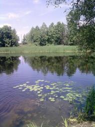 Блистова(фото з інтернету)