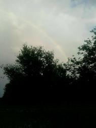 Блистова(фото з інтернету)