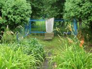 Блистова(фото з інтернету)