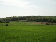 Яблунів з panoramio.com