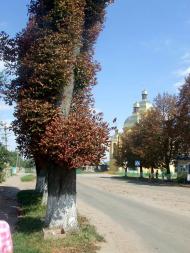 храм Святого Духа