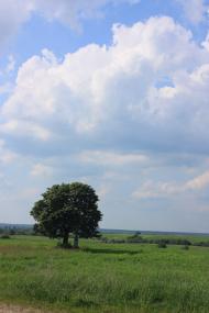 Волуйки - Останні фото