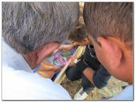 ЦИРК ПРИЇХАВ!