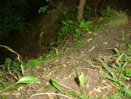 Шишківці з panoramio.com