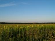 Вороновиця з panoramio.com