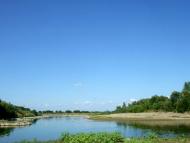 Річка Стрий