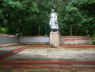 Блистова(фото з інтернету)