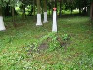 Блистова(фото з інтернету)