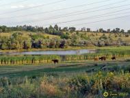 Карнаухівка з panoramio.com - Karnaukhivka