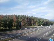 МРІЯ НА ЖИТОМИРСЬКОМУ ТРАКТІ