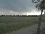 Окоп - Последние фото