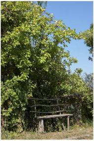 Просторы Цибулевки и Литовчуки