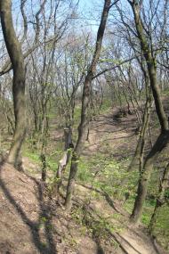 Мінеральне з panoramio.com