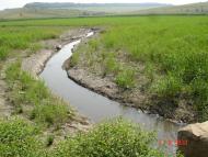 Шишківці з panoramio.com