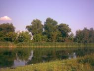 Березна з panoramio.com