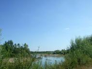 Річка Стрий