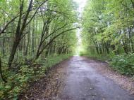 Малечковичі з panoramio.com