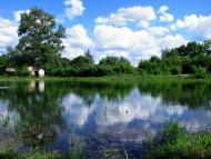 Пирогівці з panoramio.com