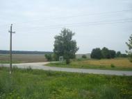 Цикова з panoramio.com