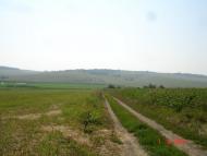 Шишківці з panoramio.com