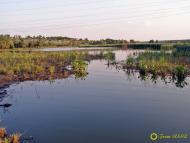Карнаухівка з panoramio.com - Карнауховка