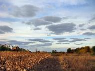 Пирогівці з panoramio.com